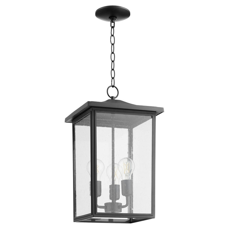 Quorum 723-11-69 Three Light Pendant, Black Finish - LightingWellCo