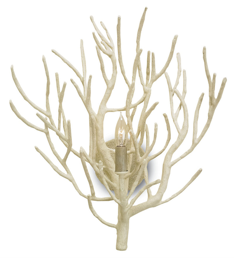 Currey and Company 5158 One Light Wall Sconce, White Coral Finish-LightingWellCo