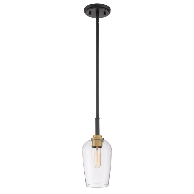 Quoizel SGR1505EK One Light Mini Pendant, Earth Black Finish - LightingWellCo